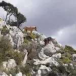 La Petite Planete Hotel