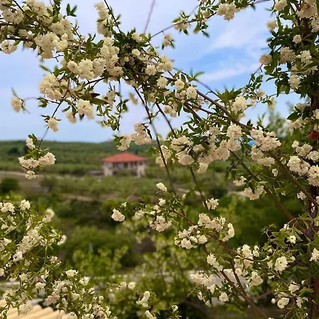 La Petite Planete 3* Mykines