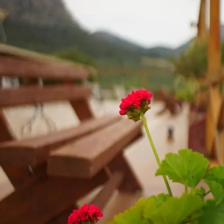 La Petite Planete 3*