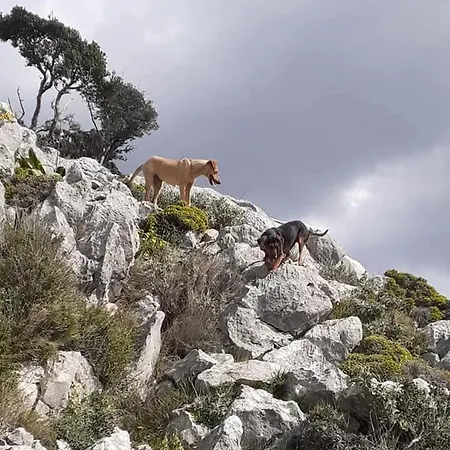 La Petite Planete Hotel