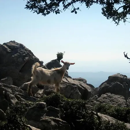 La Petite Planete Hotel Mykines