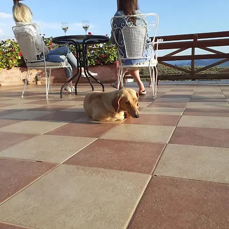 Отель La Petite Planete