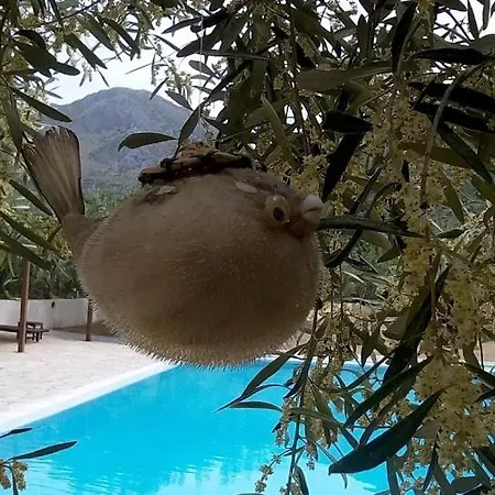 La Petite Planete 3*