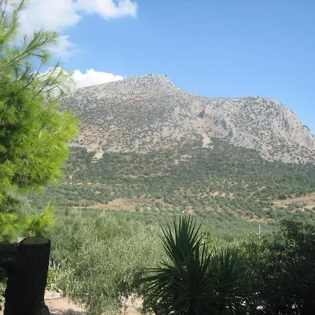 Отель La Petite Planete