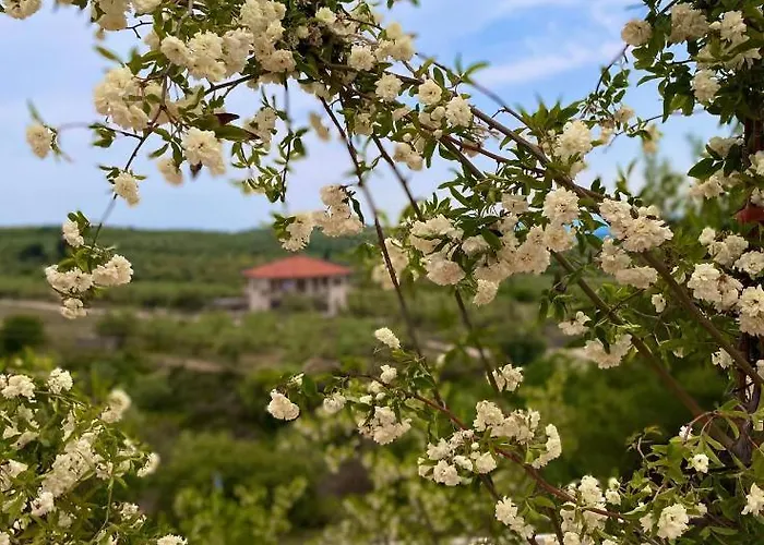 La Petite Planete 3* Mykines