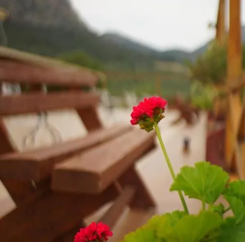 La Petite Planete 3*