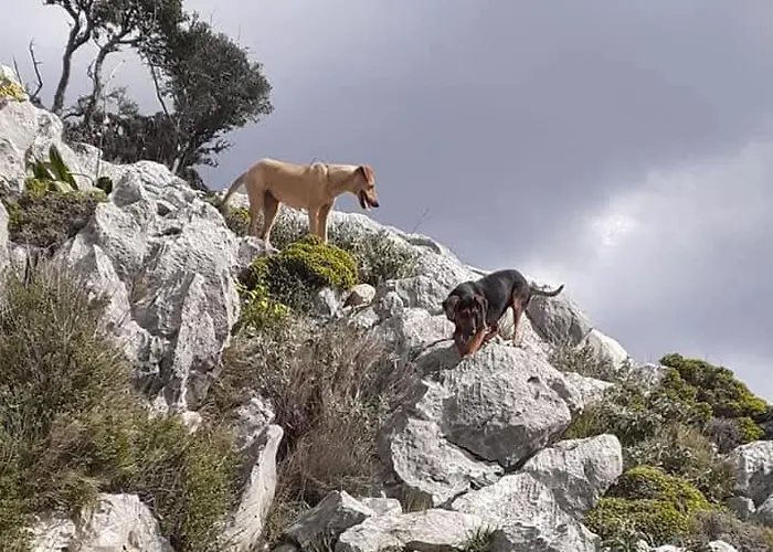 La Petite Planete Hotell