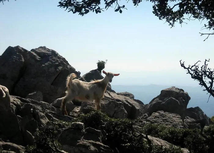 La Petite Planete 酒店 Mykines