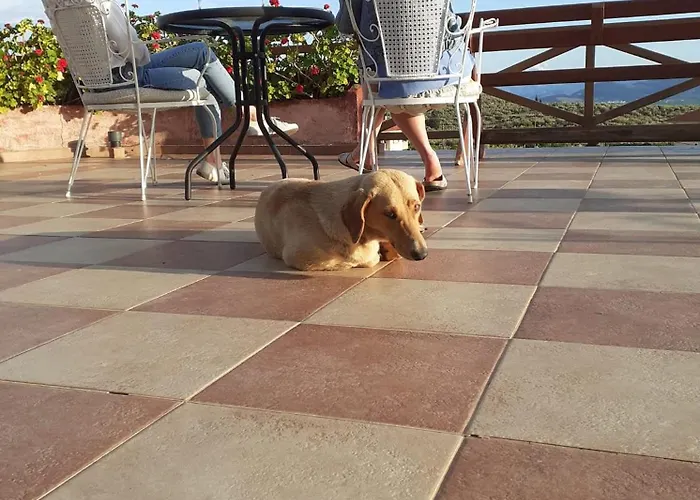 酒店 La Petite Planete