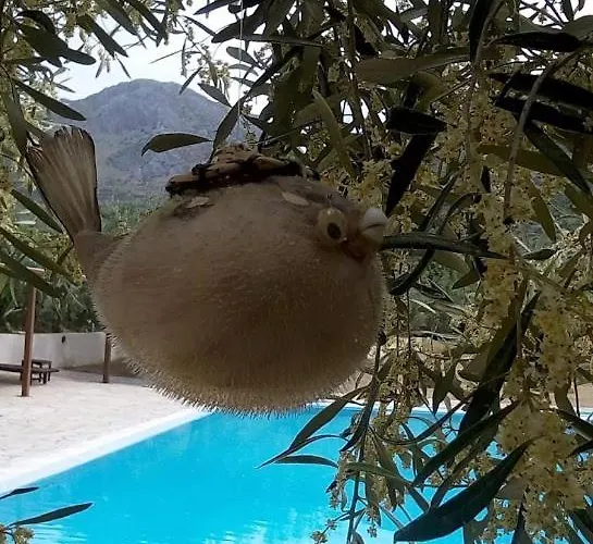 La Petite Planete 3*